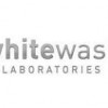 Whitewash