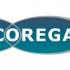 Corega